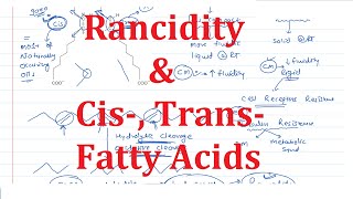 11 Cis Trans Fatty Acids amp Rancidity [upl. by Hoopen]