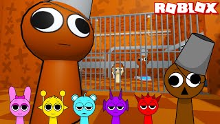 Sprunki Brud Played Sprunki Brud Prison Run Obby in ROBLOX  Incredibox Sprunki [upl. by Phillis]