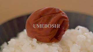 Umeboshi 🍑 Japanese pickled plums [upl. by Susette]