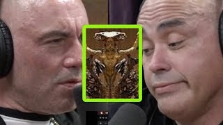 Eddie Bravo Exposes “Luciferian” Elements at Vatican [upl. by Assecnirp]