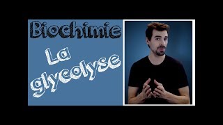 Cours de biochimie Glycolyse [upl. by Ahtanaram]