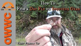 How to Fish a Dry Fly on Spinning Gear  St Joe River Trout Fishing [upl. by Johnathon468]