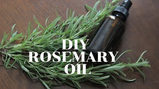 DIY Rosemary Oil for Hair  Rosemary Oil For Extreme Hair Growth [upl. by Nnaesor731]