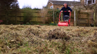 Lawn Scarification  Correct Scarification Procedure [upl. by Enilarak]