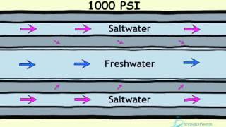 How Desalination Works [upl. by Aihsetel]