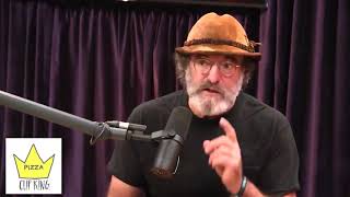 Paul Stamets telling Joe Rogan about the incredible benefits of Lions Mane mushrooms [upl. by Nuris]