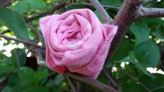 DIY How To Make Rose From HANDKERCHIEF [upl. by Cilla]