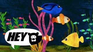 Hey Bear Sensory  Aquarium  Relaxing classical music  Soothing Sleep Video [upl. by Leigha620]