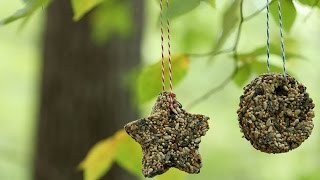 How To Make Birdseed Ornaments  Southern Living [upl. by Akinyt]