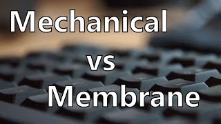 Mechanical Keyboard vs Membrane Keyboard Sound and Latency Test [upl. by Mahoney583]