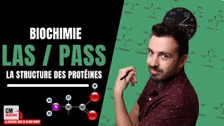 La Structure des PROTEINES  🧬Primaire Secondaire Tertiaire Quaternaire hélice feuillet plan [upl. by Edge]