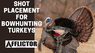 Proper Shot Placement For BOWHUNTING Turkeys [upl. by Landbert]