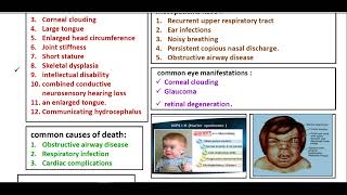 Mucopolysaccharidosis  Simplified Metabolic Disorders [upl. by Lyford]