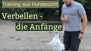 Schutzhundesport ohne Stress Hund zum Verbellen bringen [upl. by Georgeanna]