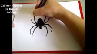 Eine Spinne zeichnen How to Draw Spider SchrittfürSchrittAnleitung [upl. by Chariot]