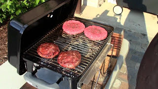 Review Weber GoAnywhere Charcoal Grill [upl. by Amati]