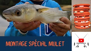 Tuto SURFCASTING 1 montage spécial MULET [upl. by Florie]