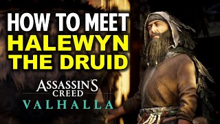 Druids Cottage Location amp How to Meet Halewyn the Druid  Clues amp Riddles  AC Valhalla [upl. by Anana]