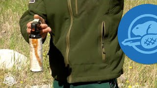 How to Use Bear Spray  Banff National Park [upl. by Vic]