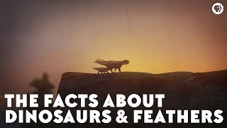 The Facts About Dinosaurs amp Feathers [upl. by Nynnahs]