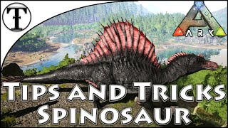 Fast Spinosaur Taming Guide  Ark  Survival Evolved Tips and Tricks [upl. by Casavant]