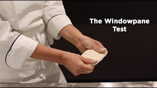 Pizza Dough Kneading Technique Expert Tips from Chef Jenny McCoy [upl. by Wilona]