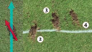 Cheat Sheet Analyze Your Divots to Fix Your Swing [upl. by Enrico]