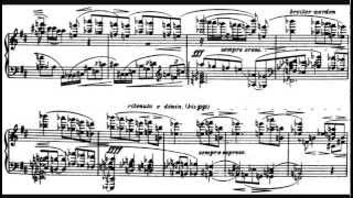 Alban Berg  Piano Sonata Op 1 [upl. by Margeaux]