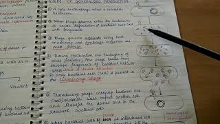 Transduction Genetic recombination in bacteria [upl. by Conah]