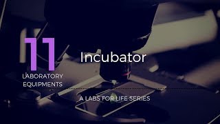 Incubator [upl. by Cirek]