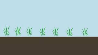 Soil Carbon Sequestration [upl. by Alita]