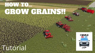 How To Grow Wheat Barley Oats Canola and Soybeans in Farming Simulator 19 [upl. by Jamie167]