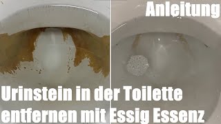 Urinstein in der Toilette entfernen mit Essig Essenz Anleitung [upl. by Aniri394]