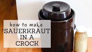 Sauerkraut Crock Recipe  HOW TO MAKE SAUERKRAUT IN A CROCK  Bumblebee Apothecary [upl. by Adni488]