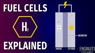 Hydrogen Fuel Cell How It Works [upl. by Nomzed]