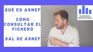 Aprende qué es Asnef cómo se consulta y cómo salir del fichero de morosidad [upl. by Vieva]