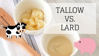 Tallow Vs Lard  WHICH IS BETTER  Bumblebee Apothecary [upl. by Cristen]