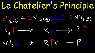 Le Chateliers Principle [upl. by Aveline]