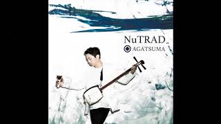 Hiromitsu Agatsuma 上妻宏光  Tokino Tabibito Jazzy 時の旅人 Track 08 NuTRAD ALBUM [upl. by Lrac]