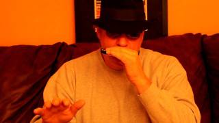 Worlds Easiest Harmonica Lesson 1 [upl. by Marice]