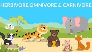 Herbivores  Carnivores  Omnivores  Types of Animals [upl. by Sinnaiy]