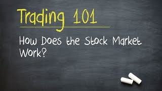 Trading 101 How Does the Stock Market Work [upl. by Koser]