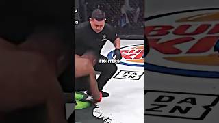 Why Fighters Attack Referees [upl. by Nevsa498]