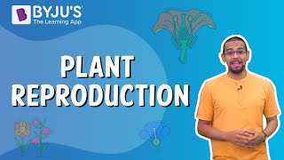 Plant Reproduction  Class 5 I Learn with BYJUS [upl. by Tavey]