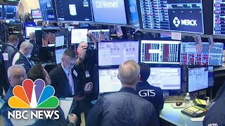 Stock Trading Halted After Markets Plunge At Market Open  NBC News [upl. by Nnaillek76]