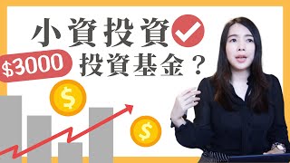 蕾咪 新手如何投資基金？定期定額的2大優點？資金不足也能投資獲利！feat元大投信 [upl. by Anyala285]