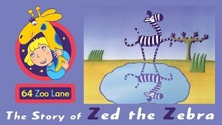 64 Zoo Lane  Zed the Zebra S01E07 HD  Cartoon for kids [upl. by Abebi]