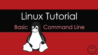 Linux Tutorial  Basic Command Line [upl. by Fredelia]