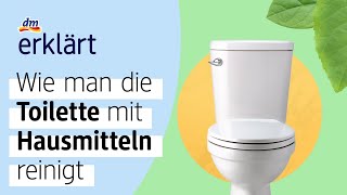 Toilette mit Hausmitteln reinigen – dm erklärt [upl. by Obala687]