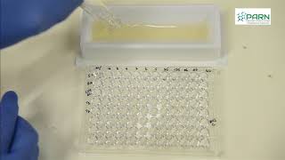 MIC by Microbroth dilution method [upl. by Diena]